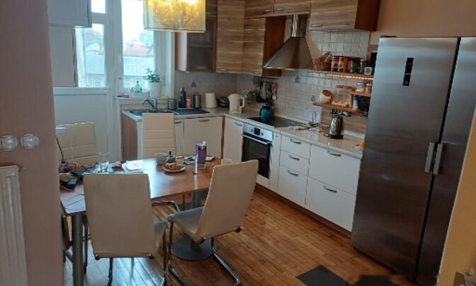 Трёхкомнатная квартира Шишка