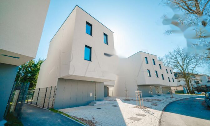 Дом с террасой Любляна Вич