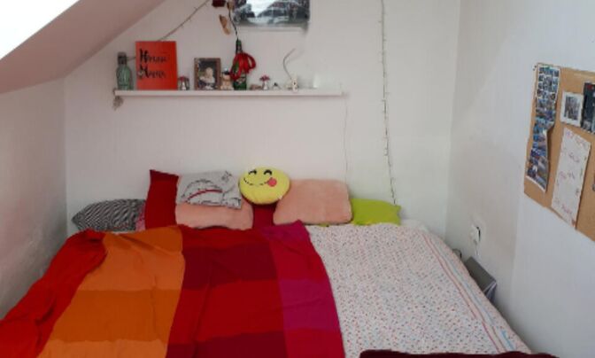 Трёхкомнатная квартира Бежиград