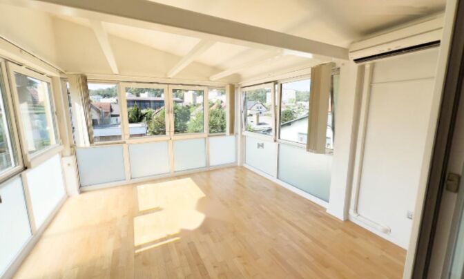 Дом, Любляна, Шишка