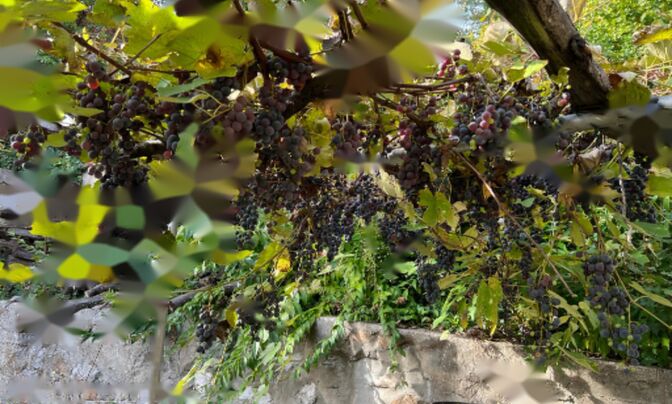 Квартира в Центре Любляны