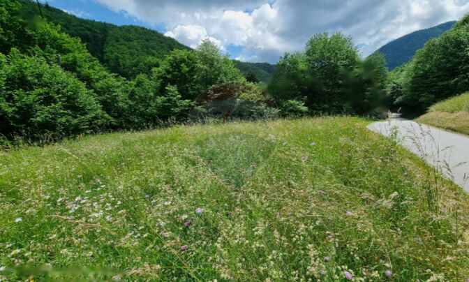 Земельный участок в Кропе, солнечный, частично сельскохозяйственный.