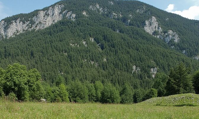 Участок, Радовлица, Предтрг