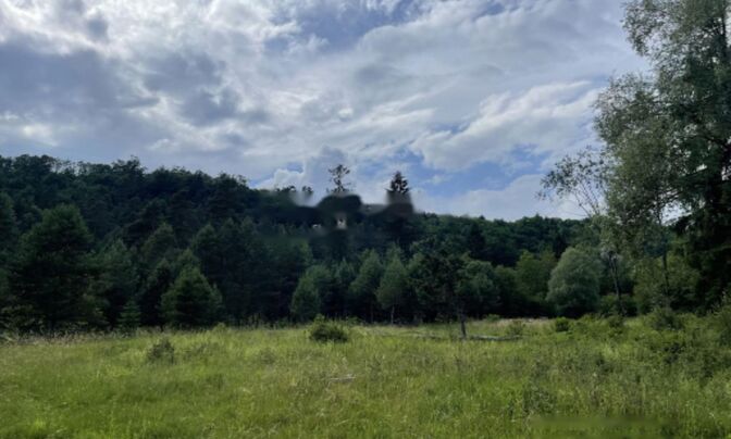 Участок, сельскохозяйственная земля Блед