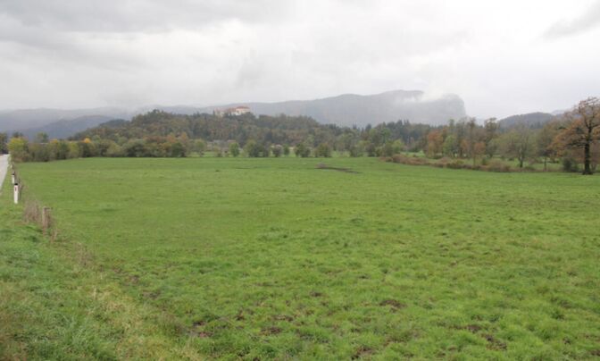 Участок, Сельскохозяйственная земля Блед.