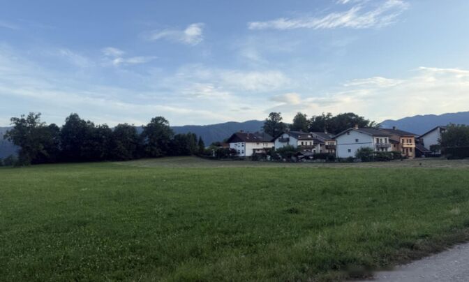 Участок для инвестиций Блед, Добы