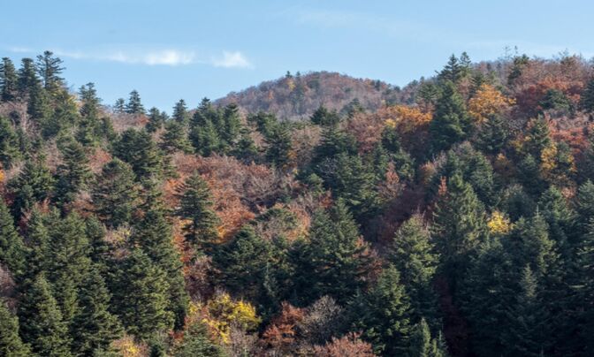 Участок, Сельскохозяйственные земли Брежье, Перачица