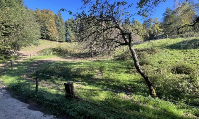 Участок, Сельхозземля Чешница при Кропи