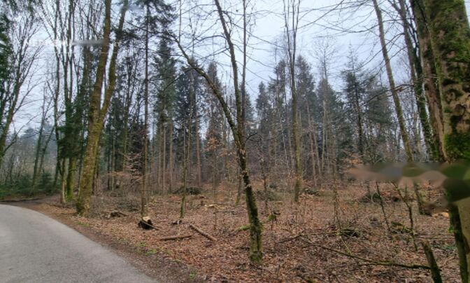 Участок для инвестиций Гориц, Окраина деревни