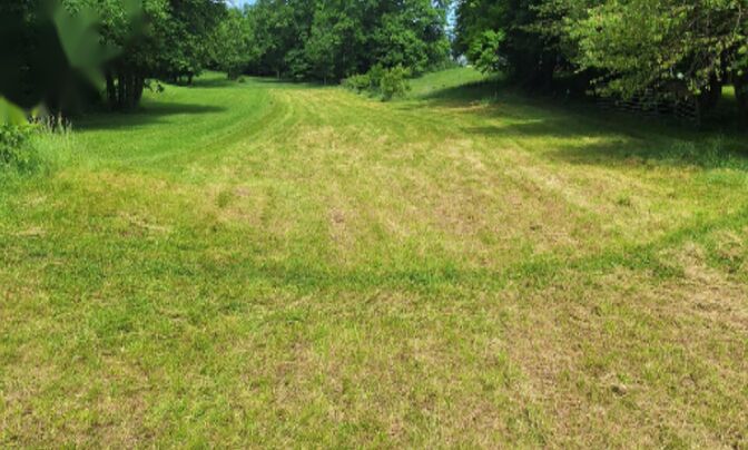 Земельный участок под сельское хозяйство в Хлебце