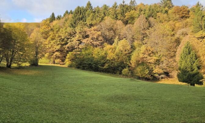 Усадьба, Сельскохозяйственная земля Вишельница