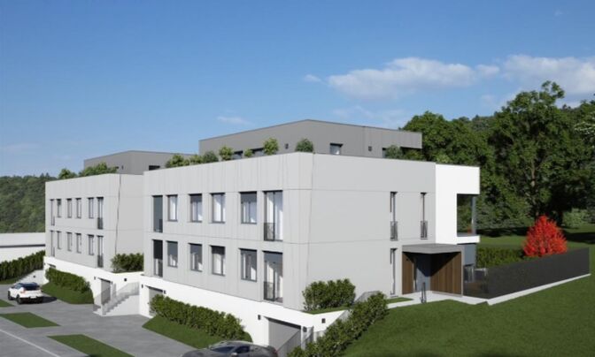 Роскошный Дуплекс в Подутике