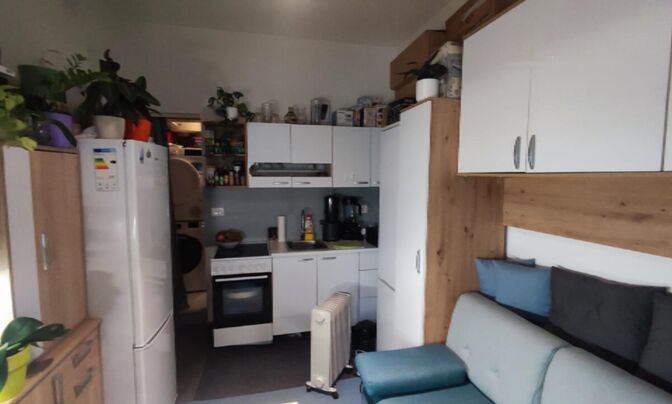 Гарсоньера у моря в Пиране