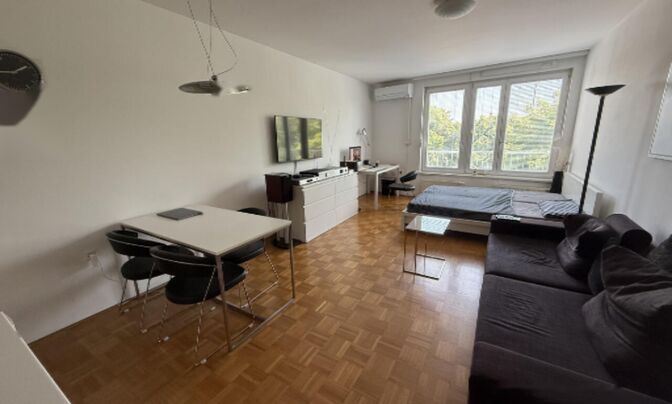 Квартира 1-комнатная Шишка