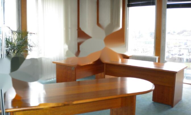 Офисное помещение Тржашка 132