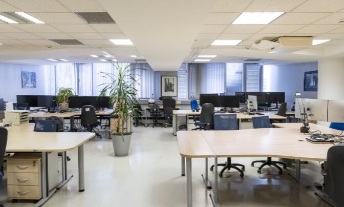 Офисное помещение Шишка