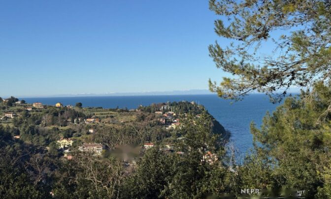 Дуплекс в Новом Портороже