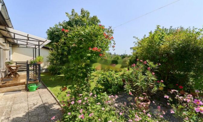 Двухквартирный дом Новый Подутик