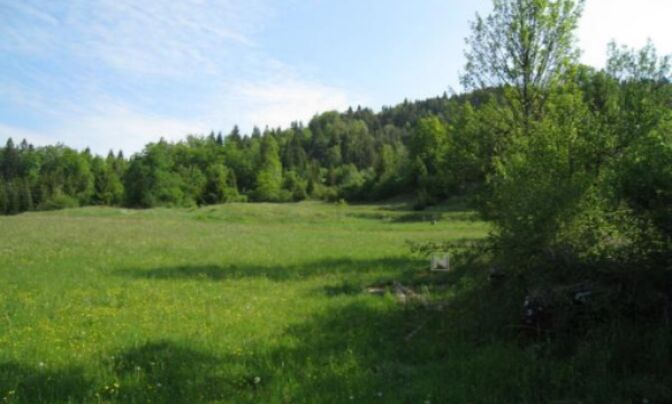 Усадьба, Ферма Беч