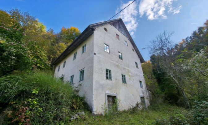 Дом в Объятии Природы