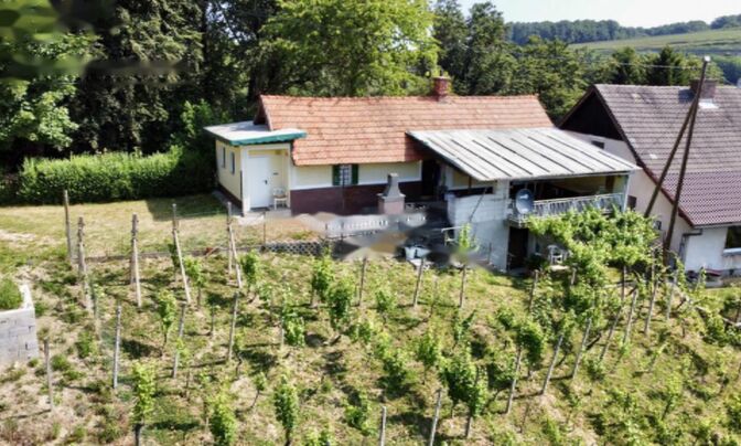 Дом, Бельский Врх