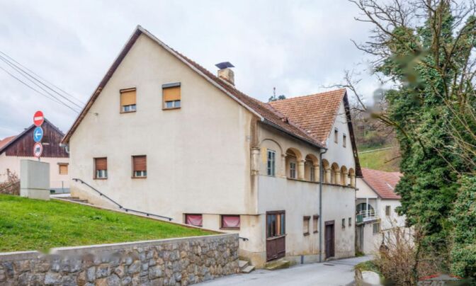 Дом, Метлика