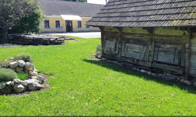 Усадьба, ферма Орехи в Безельском.