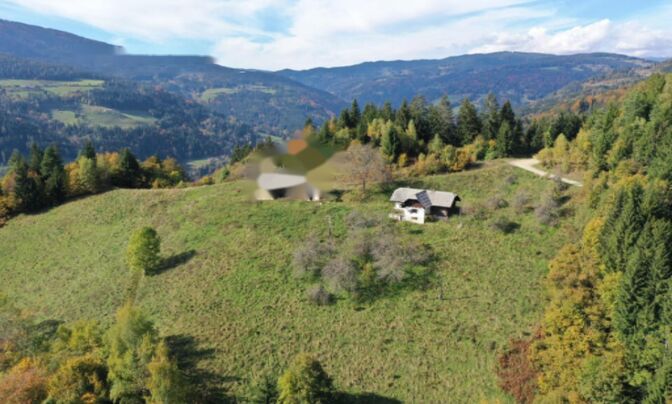 Усадьба, ферма святого Ермолая над Мутой.