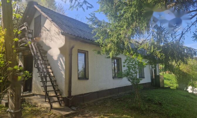 Дом, Козяк над Песницей