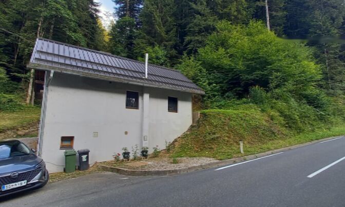 Дом, Нижняя Орлица