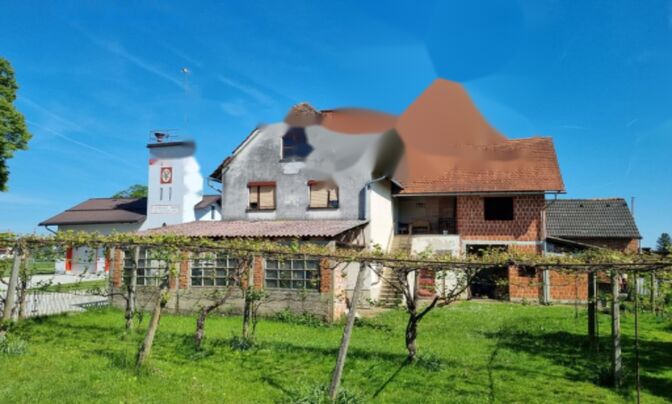 Дом, Цветник