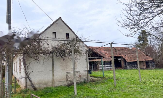 Дом, Петишовци