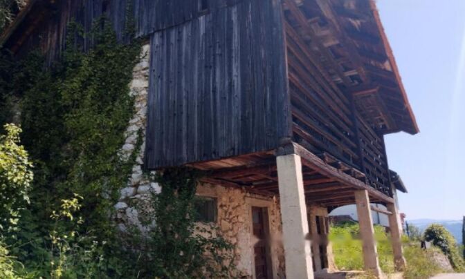 Дом в Топольшице