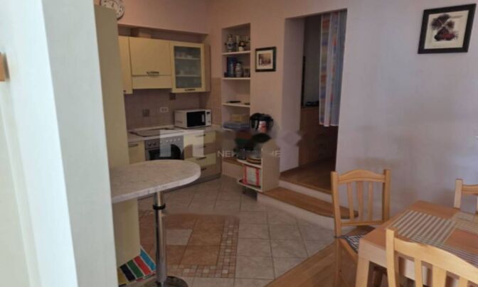 Четырехкомнатная квартира, Центр, Опатия