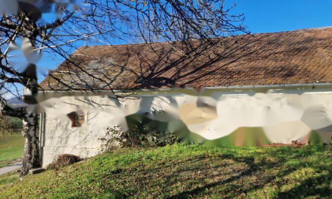 Дом, Долга Гора