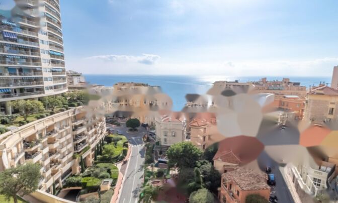 Apartment Monaco, La Rousse