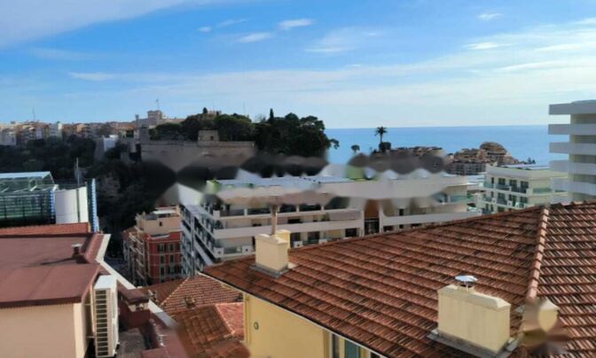 Apartment Monaco, Jardin Exotique