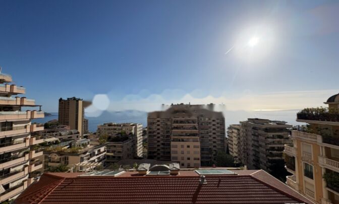 Apartment Monaco, La Rousse