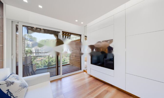 Apartment Monaco, La Rousse