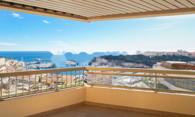 Apartment Monaco, Moneghetti