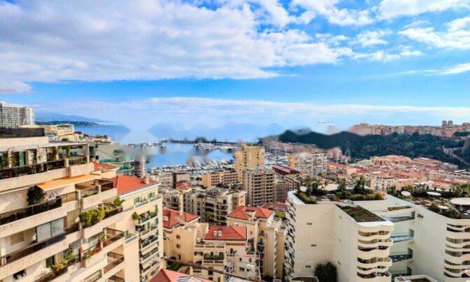 Apartment Monaco, Moneghetti