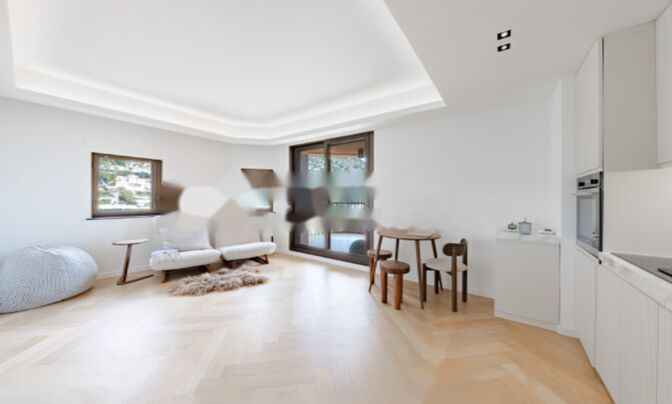 Apartment Monaco, La Rousse