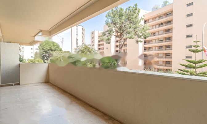 Apartment Monaco, La Rousse