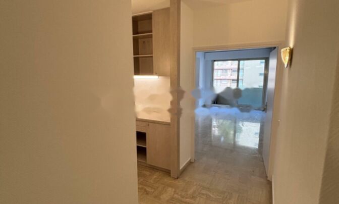 Apartment Monaco, La Rousse