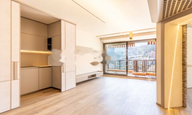 Apartment Monaco, La Rousse