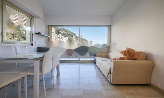 Apartment Monaco, La Rousse