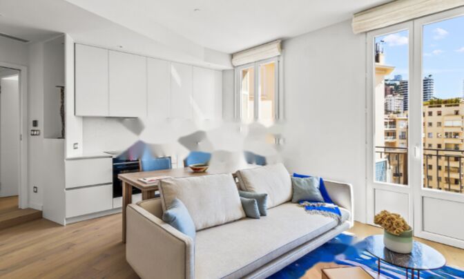 Apartment Monaco, La Rousse