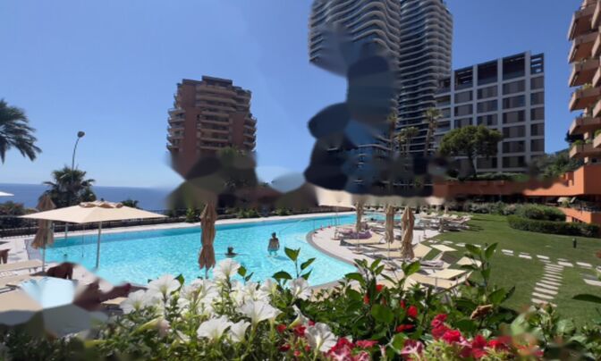 Apartment Monaco, La Rousse