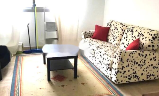 Apartment Monaco, La Rousse