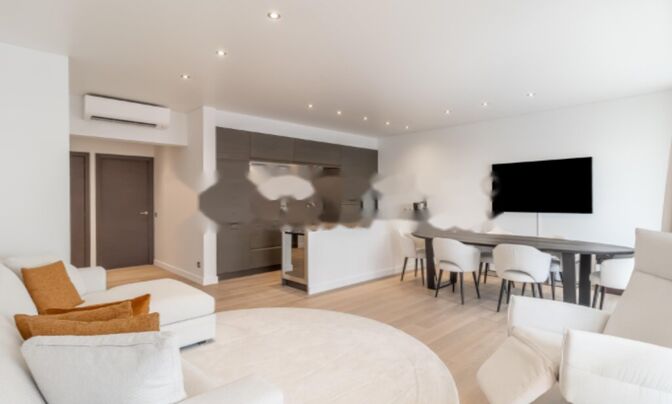 Apartment Monaco, La Rousse